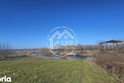 Teren de 646 mp, în Dascălu - 1