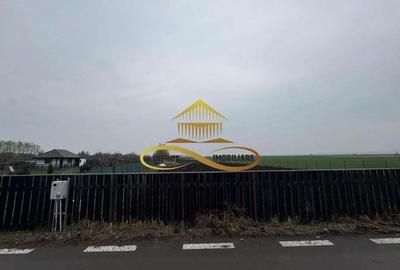 Teren de vanzare Filipesti Bacau 6838 mp - 4