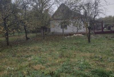 Casa de vanzare str salcamului nr 68 - 1