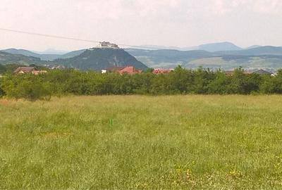 Teren de 450 mp, în Zăvoi - 4