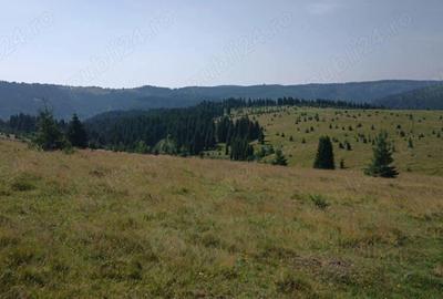 Teren de 8640 mp, în Beliș - 7