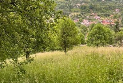 TEREN DE VANZARE VALEA DOFTANEI - 3