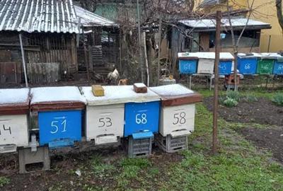 Casă cu 3 camere în Central - 1