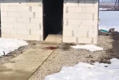 Casă cu 4 camere cu Teren 1200 Mp în Central - 1