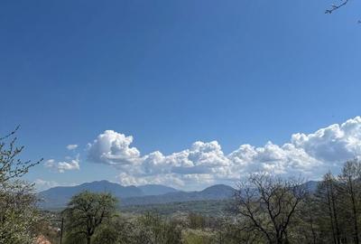 Teren de 3001 mp, în Bran - 7