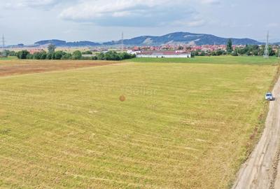 Teren Destinatie Industriala - 2