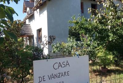 Vand casa la iesirea din Timisoara - 4