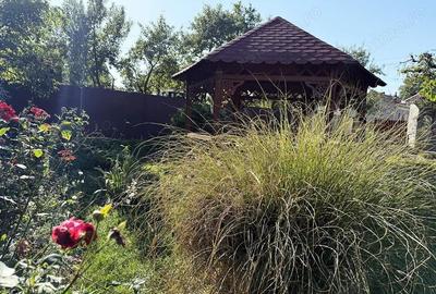 Casa de vacanta sau locuinta permanenta - Buduslau - IMOBIHOR - 5