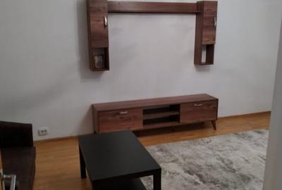 Apartament 3 camere langa Parcul Circului - 10