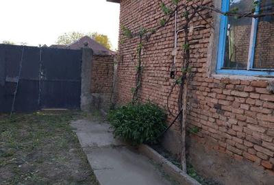 Casă cu 3 camere cu Teren 1076 Mp în Șibot - 3