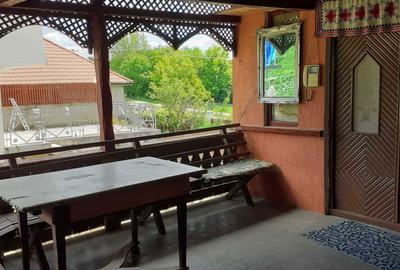 Casă cu 3 camere în Viile Satu Mare - 1