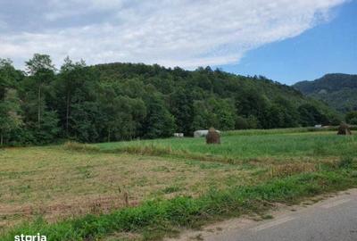 Teren de 3000 mp, în Băița - 2