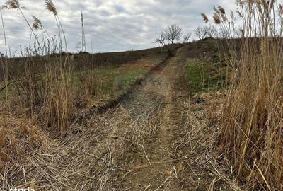 Spațiu comercial, în Copalnic - 7