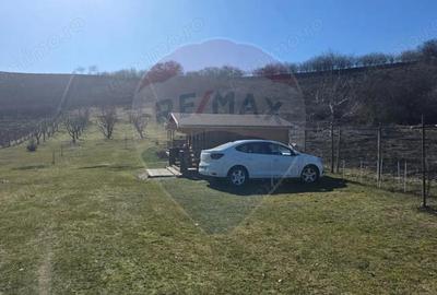 Teren de 2900 mp, în Păucea - 2