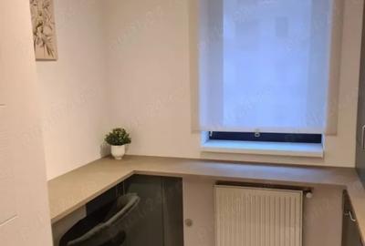 Apartament cu 2 camere decomandat, mobilat în Theodor Pallady - 8