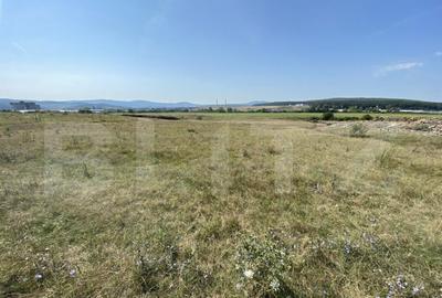 Teren extravilan Criseni, 3800 mp - 6