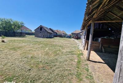 Casă cu 4 camere în Homorog - 14