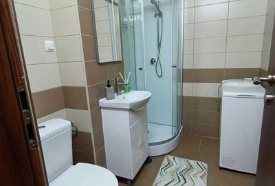 Apartament cu 2 camere decomandat în Crinț - 8