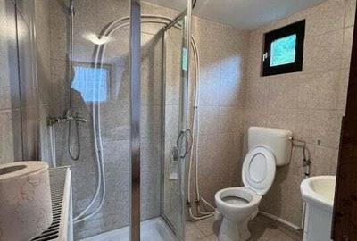 Cabana de 210mp, 2600 mp teren, in Rachitele - 4