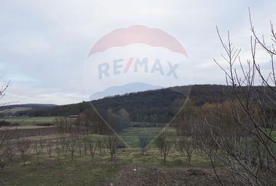 Teren Construcții intravilan de 517 mp, în Vest - 3