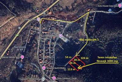 Teren intravilan, 3000 mp, Dambu Morii - 3