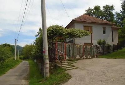 Cota de 3/32 din 3 constructii si teren-loc. Certeju de Sus, jud. Hunedoara