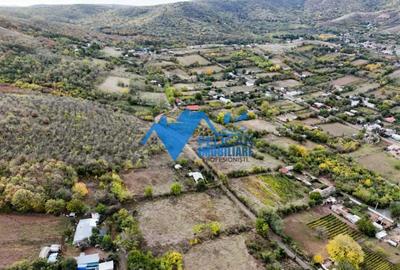 Teren de 3044 mp, în Niculițel - 13