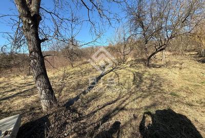 Teren Construcții intravilan de 3341 mp, în Exterior Est - 3