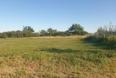 Teren de 720 mp, în Bodrogu Nou - 4