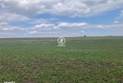 Teren de 2580 mp, în Movileni