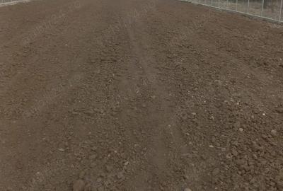 Inchiriezi teren ! Turnu magurele - 3