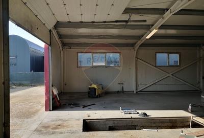 Hala Industriala, Parcul Industrial Bors 2, De Vanzare - 3