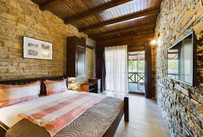 Pensiune de Lux pe Malul Dunarii in Dubova - 17