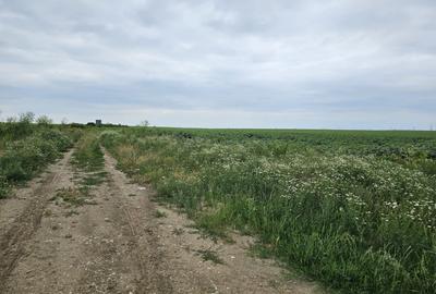 Planul I 14.832 mp Slatina bucla Drum Expres DX12 - DJ 546 - 6