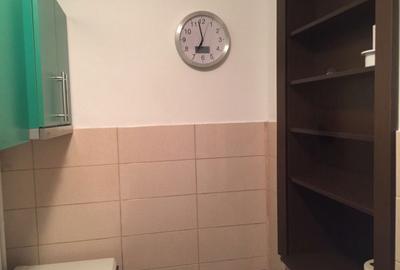 Garsonieră semidecomandată în Brazda lui Novac - 7