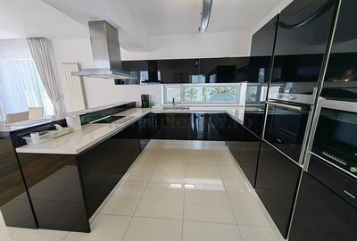 Vila individuală in zona Iancu Nicolae-Jolie Ville - 7