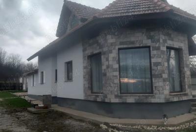 Vand in Jud Olt,Colone?ti casa ?i teren - 9