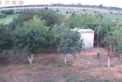 Casă cu 4 camere în Dragomirești-Deal - 2