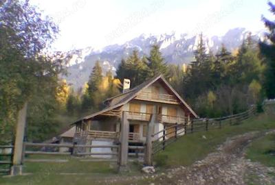 Casă cu 6 camere cu Teren 3884 Mp în Plaiul Foii - 3