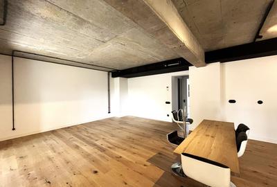 THE BRICK || 3 CAMERE || GRADINA 80 MP || BARBU VACARESCU - 5