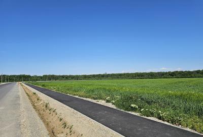 Teren Construcții intravilan de 35000 mp, în Bălteni - 5