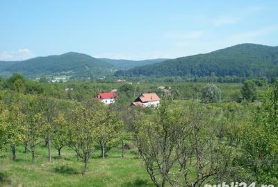 Teren de 7827 mp, în Bălilești - 4