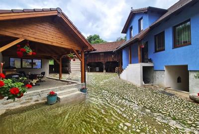 Casa deosebita \ vanzare \ Marginimea Sibiului \ Fantanele - 19
