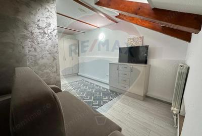 Garsonieră decomandată, mobilată în Vatra Luminoasă - 4