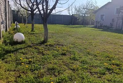 Casa individuala P+M Sanmihaiu Roman - 10