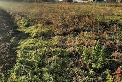 Teren intravilan in Ususau - 4