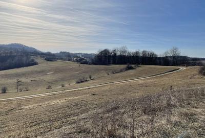 Spațiu comercial, în Tomnatic - 1