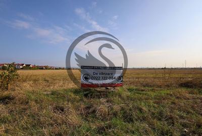 Teren agricol extravilan de 5050 mp, în Blejoi - 3