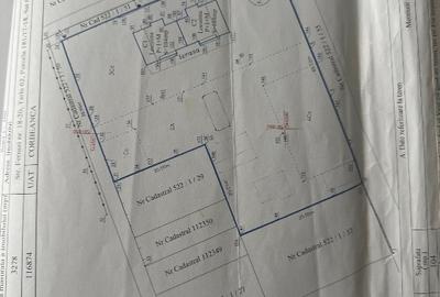 Duplex cu 4 camere cu Teren 3278 Mp în Corbeanca - 2