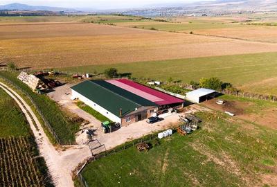 Teren agricol extravilan de 18000 mp, în Rotbav - 10